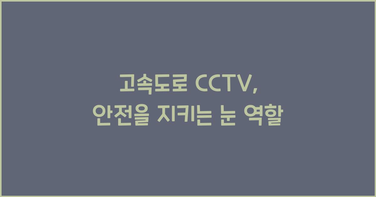 고속도로 cctv
