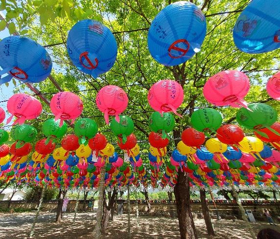 경주 분황사