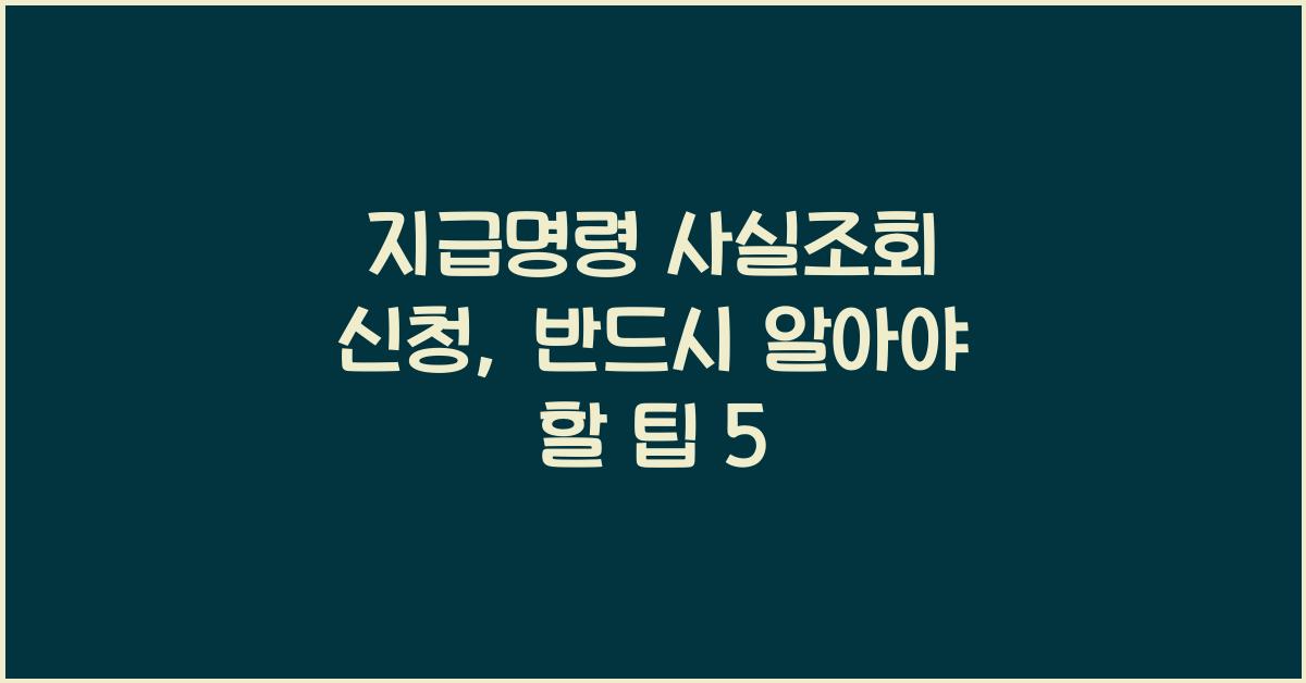 지급명령 사실조회 신청
