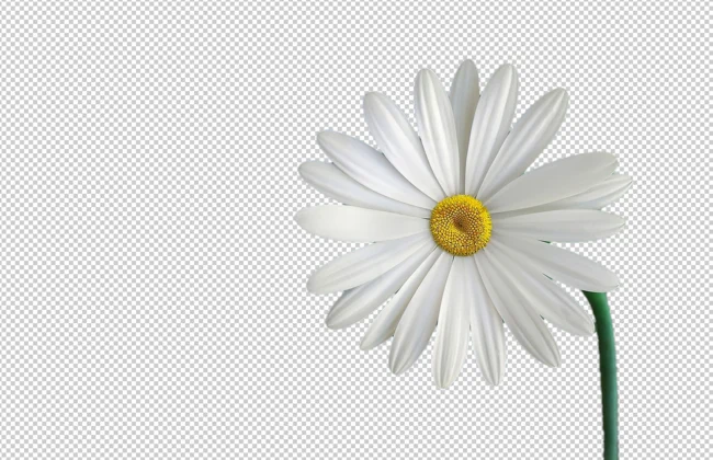 이미지 배경 제거