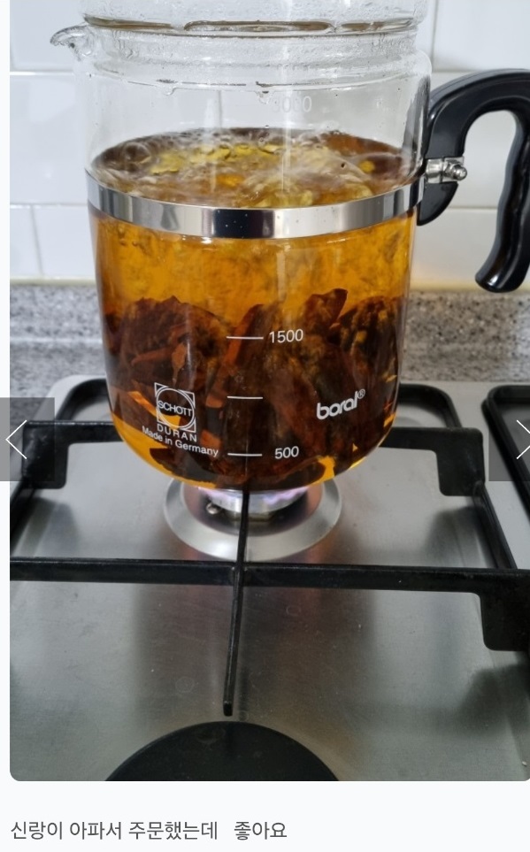 산청-유기농-상황버섯