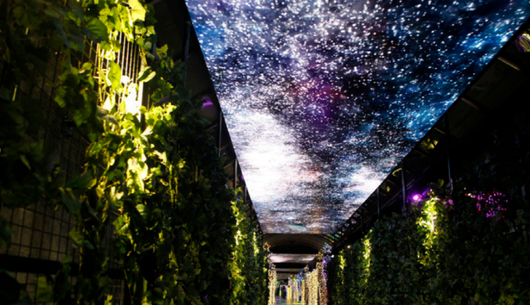 단양 수양개빛터널