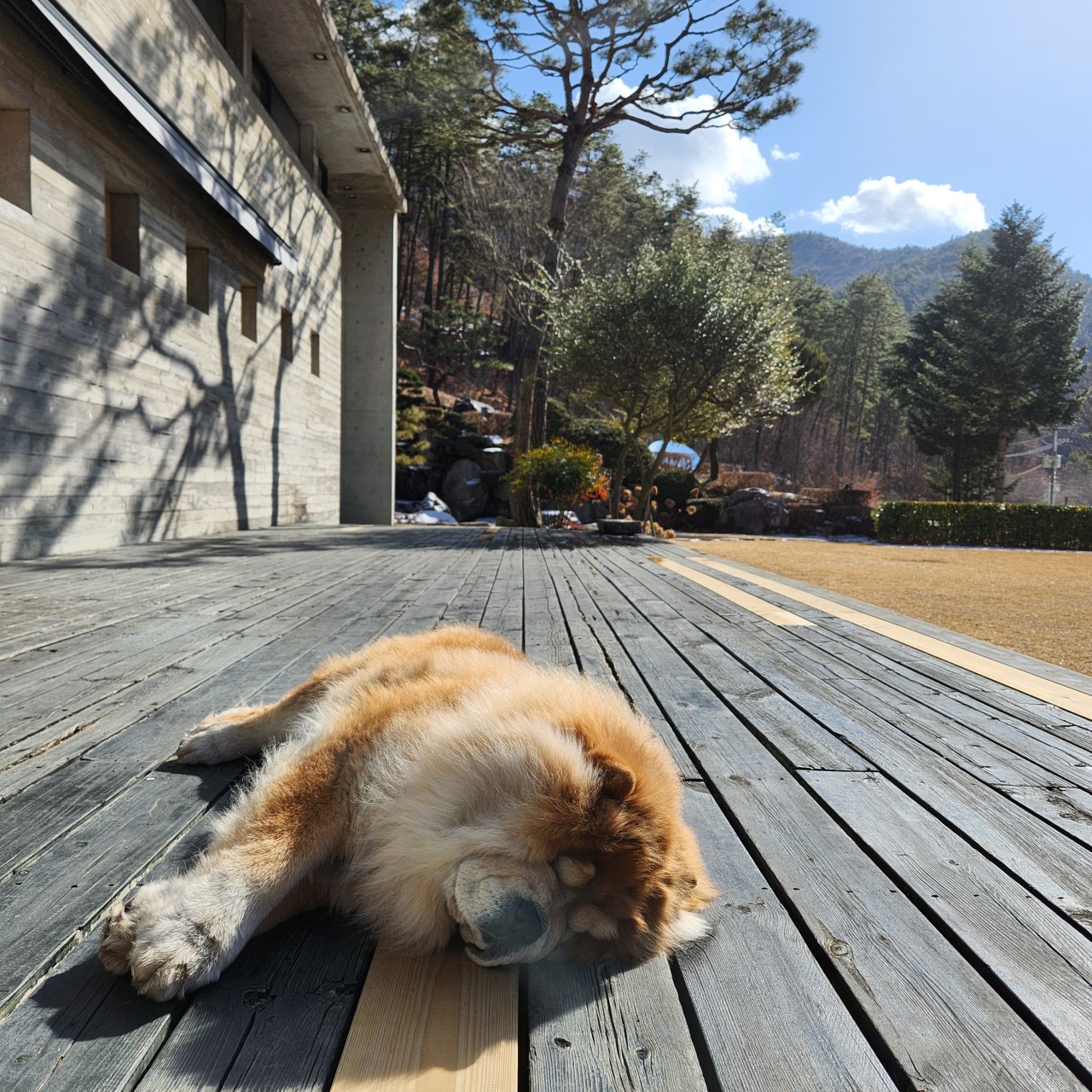 전주 완주 예쁜 카페