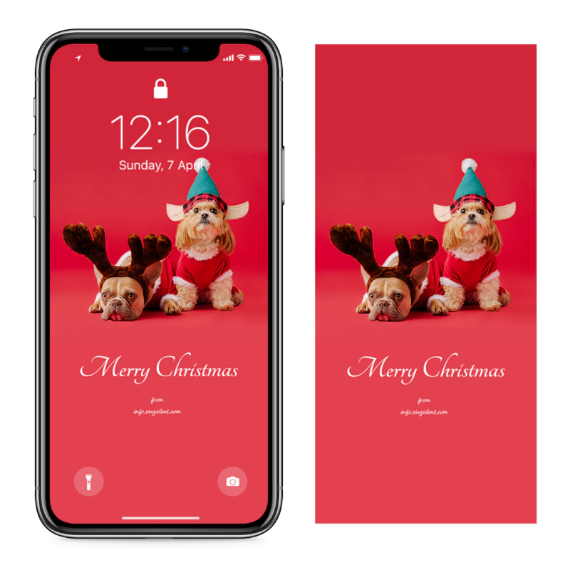 04 산타옷 입은 강아지 C - Merry Christmas 아이폰크리스마스배경화면