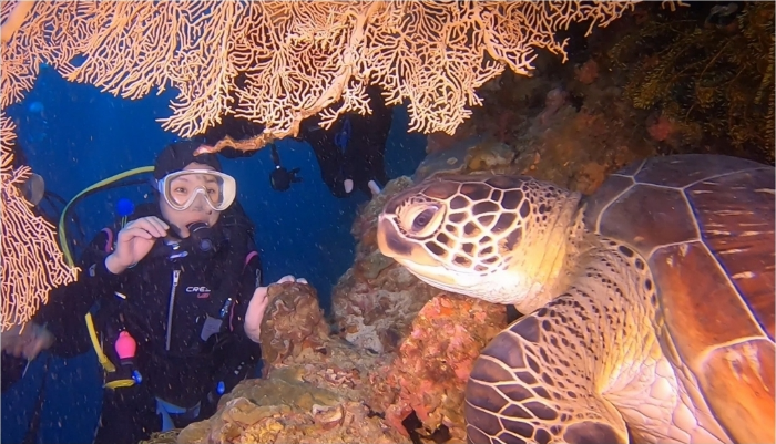 보홀에서의 첫 다이빙