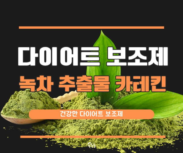 다이어트 보조제