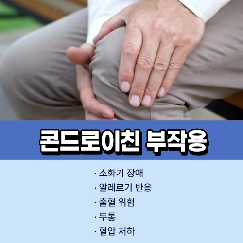 콘드로이친 부작용