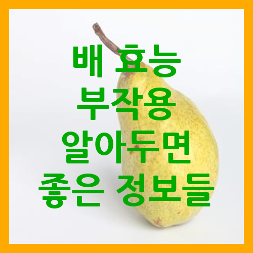 배 효능 부작용