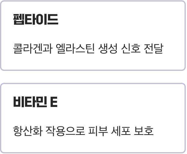 펩타이드와 비타민, 콜라겐의 든든한 지원군