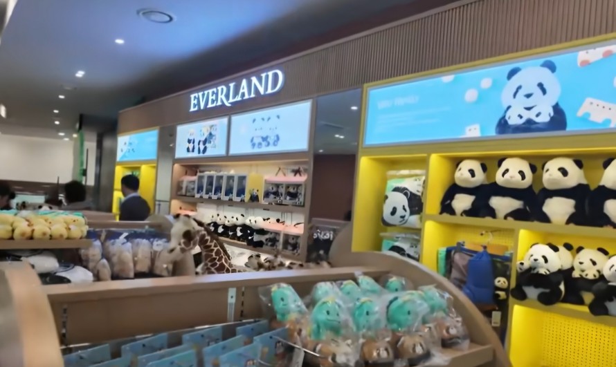 용인 에버랜드 연계