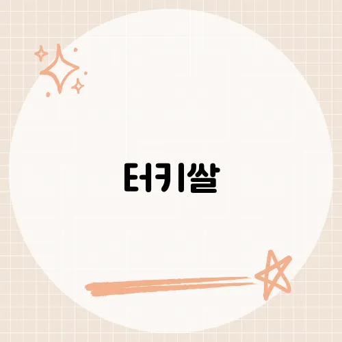 터키쌀, 터키 특유의 풍미와 건강을 담은 쌀의 매력을 분석한 식품 리뷰