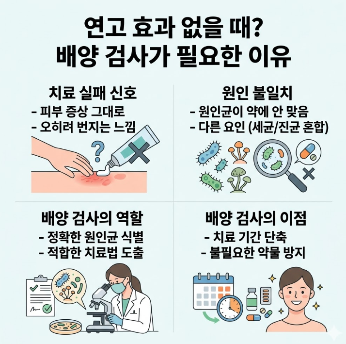 연고가 효과 없을 때 배양 검사가 필요한 이유 인포그래픽