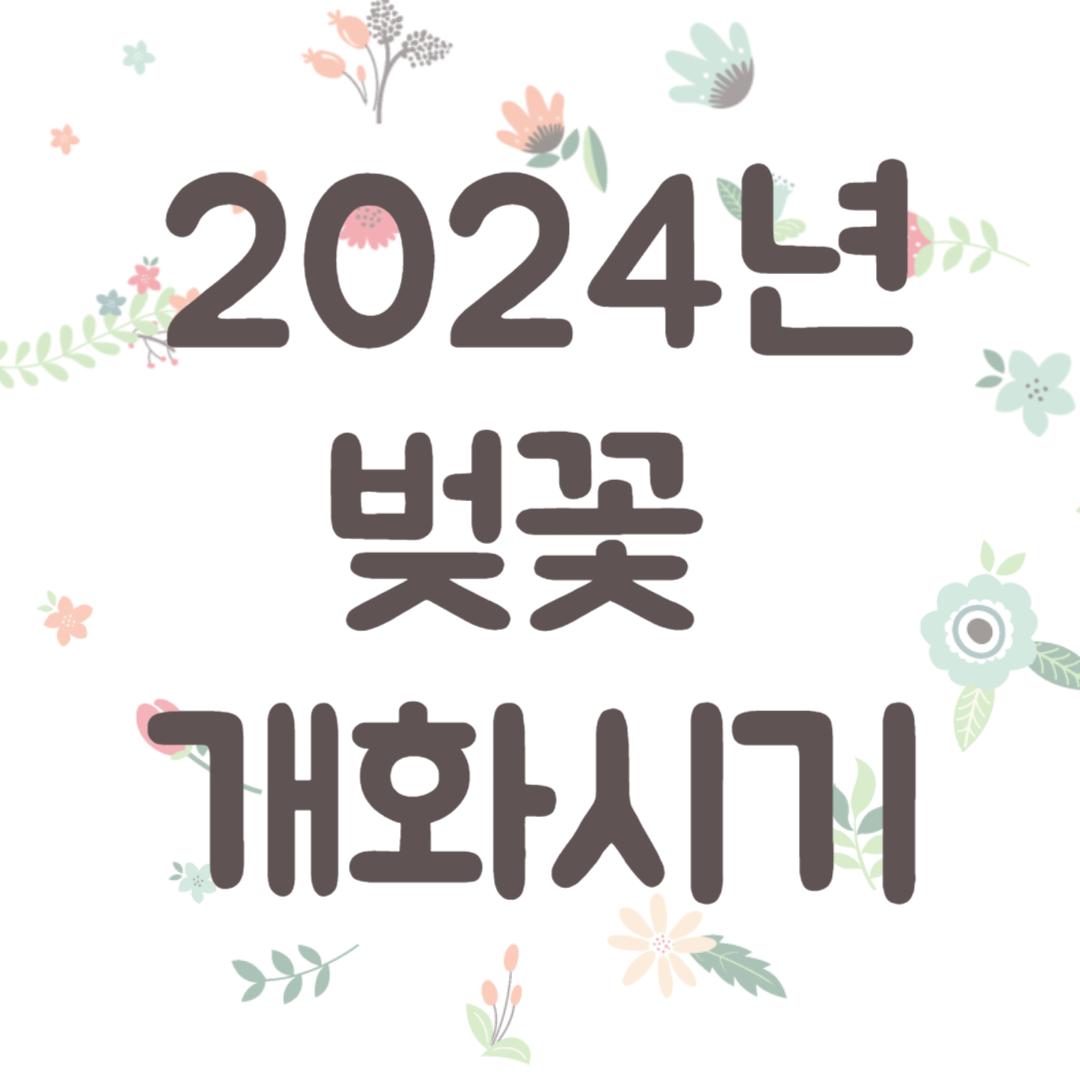 2024년 벚꽃 개화시기 만개시기 꽃세권 꽃놀이 꽃구경 (개나리, 진달래 개화시기)