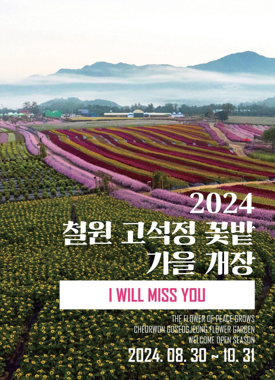 고석정 꽃밭 가을개장