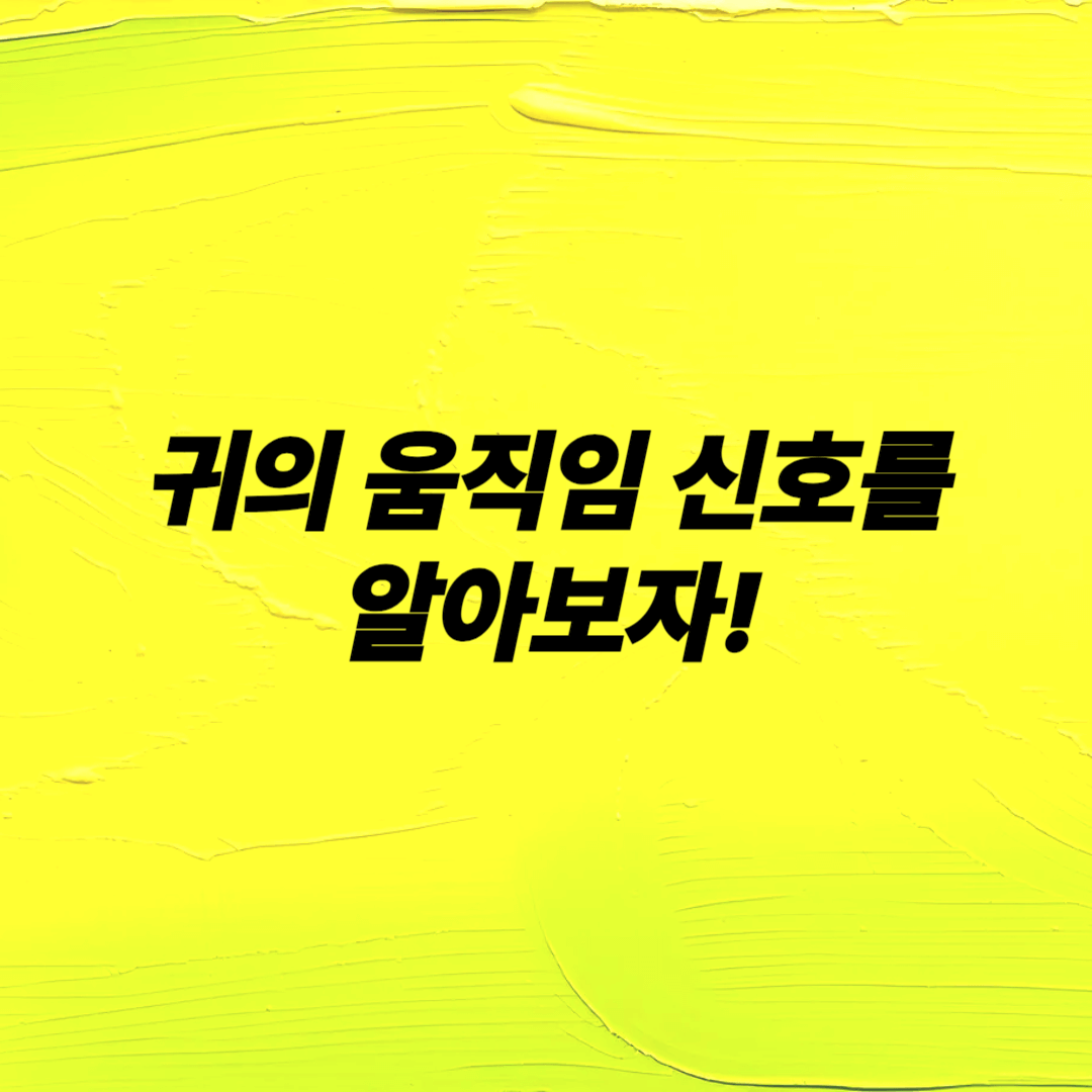 우리 집 강아지가 보내는 신호 해석하기 강아지 행동분석