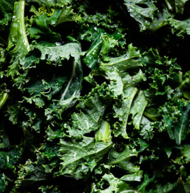 케일 효능과 부작용 고르는법 칼로리