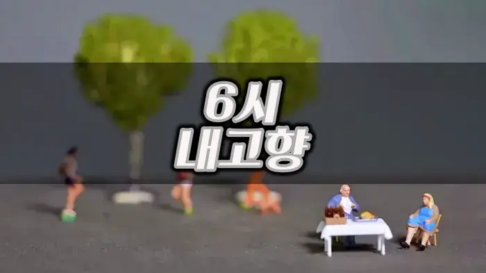 6시내고향 부산 영도 남항시장 곰장어 전국 전화 택배 및 꼼장어 구이 맛집 추천