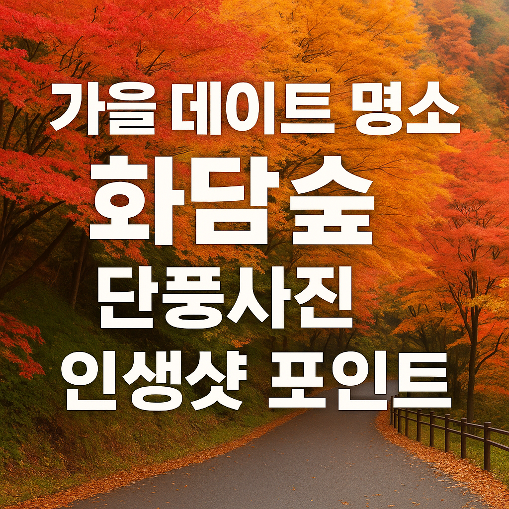 가을 데이트 명소 화담숲|단풍사진 인생샷 포인트