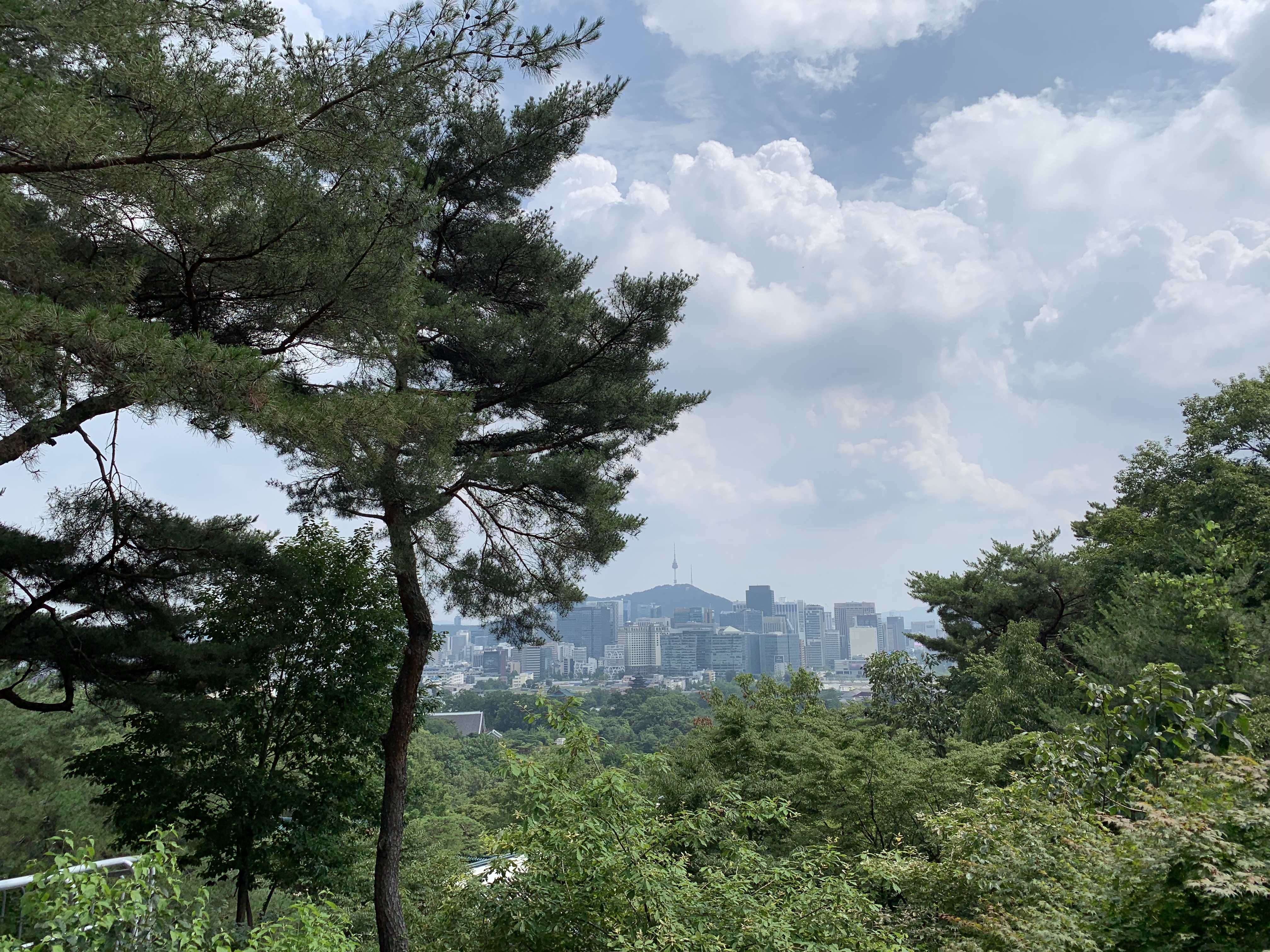 청와대에서 바라보는 서울