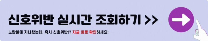 신호위반 실시간 조회