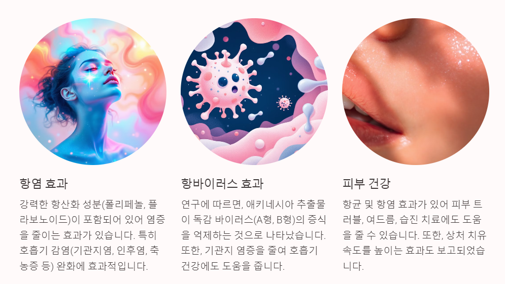 애키네시아 효능