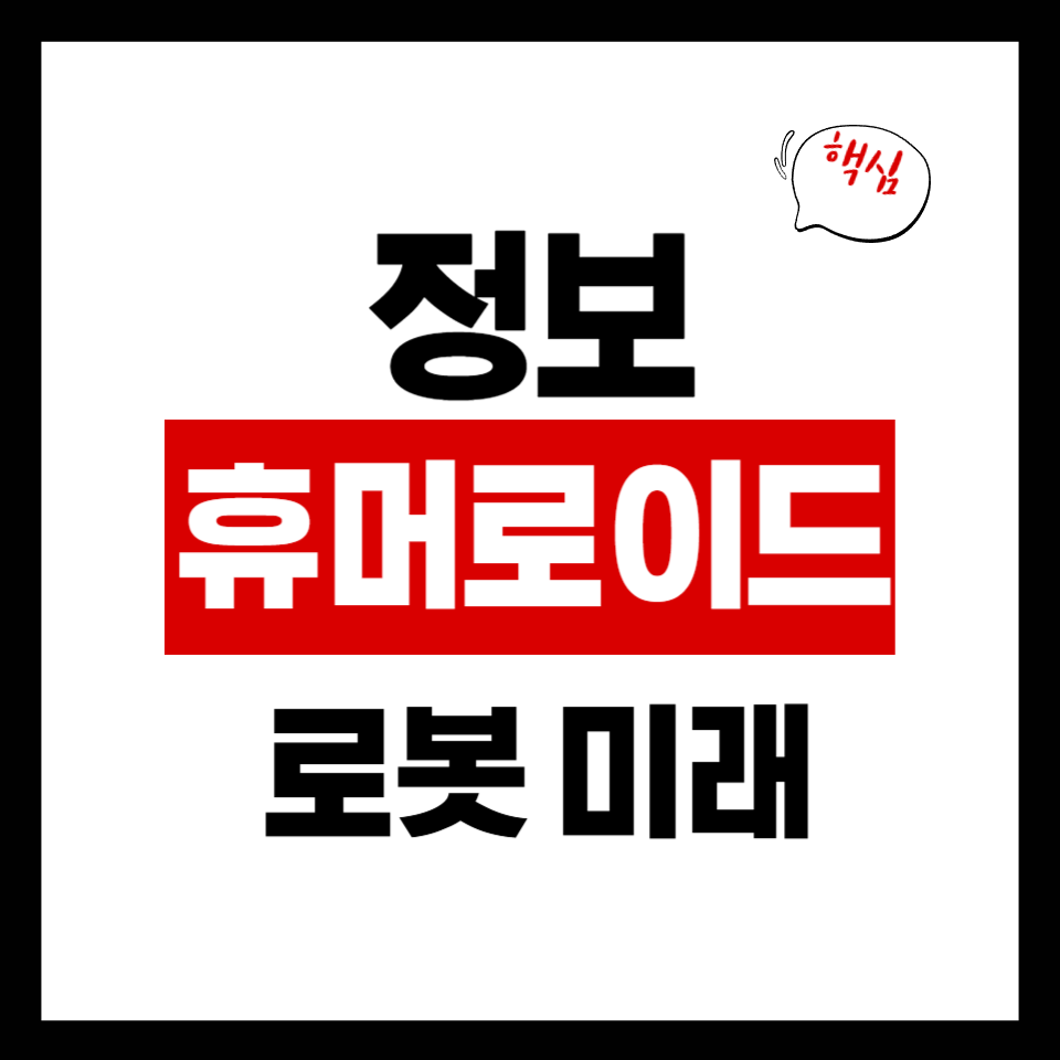 휴머노이드 로봇