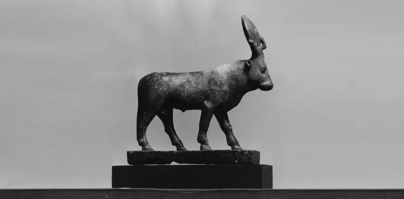 apis bull cast bronze