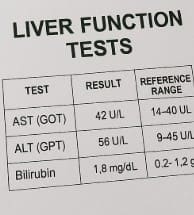 간기능검사결과지