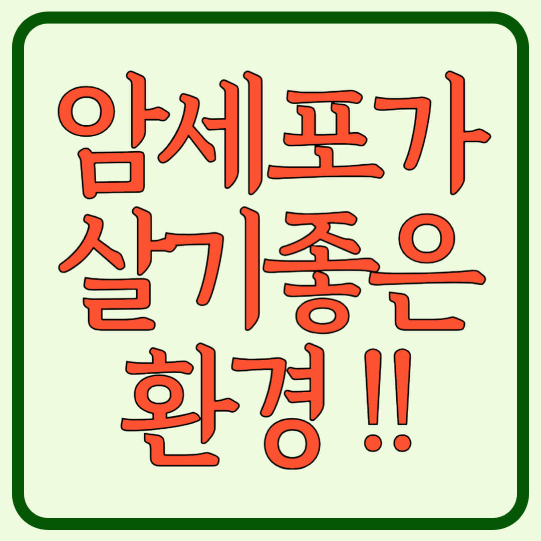 암세포가-살기좋은-환경-썸네일-이미지