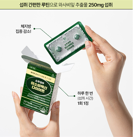 소우코우 이소비텍신 다이어트 후기