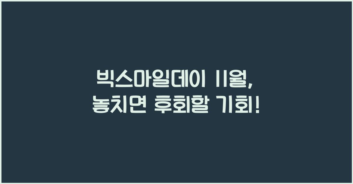 빅스마일데이 11월