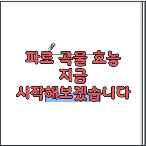 파로 곡물 효능 지금 시작해보겠습니다
