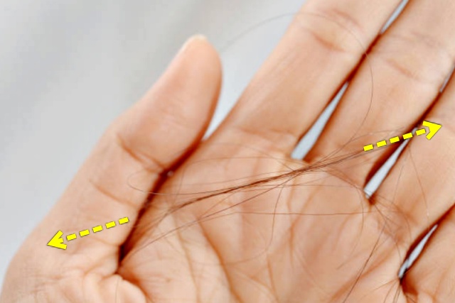 염색 파마 열펌 고데기 머리 손상 확인하는 방법, 뷰티 생활 건강 팁줌 매일꿀정보