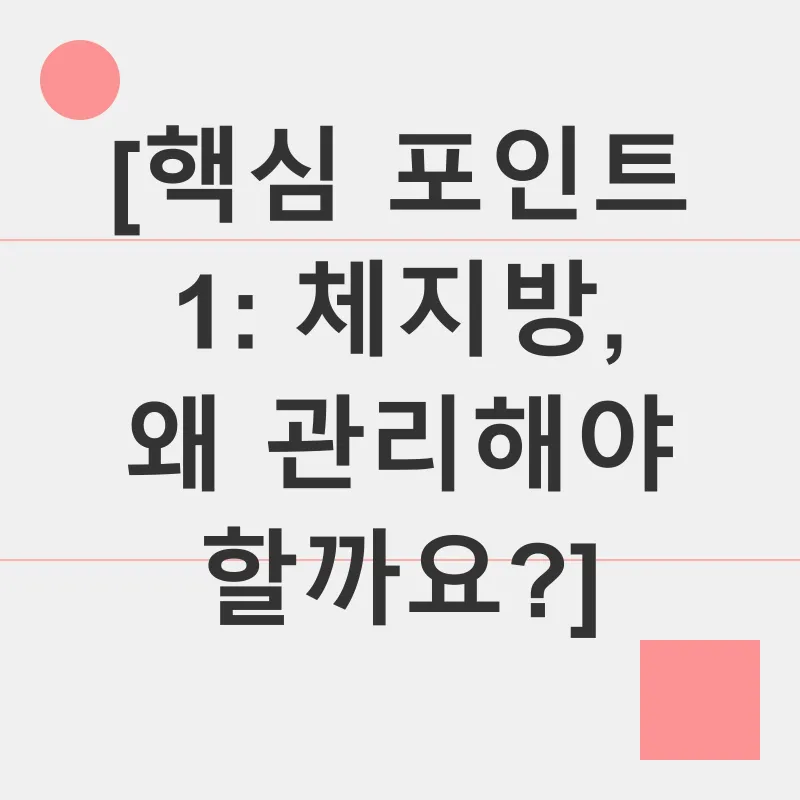 체지방 관리_1