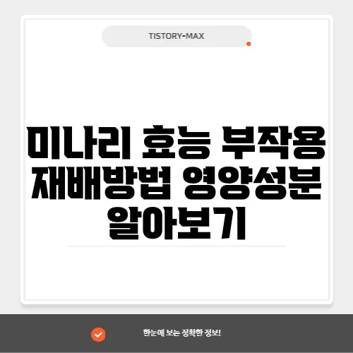 미나리 효능 부작용 재배방법 영양성분 알아보기
