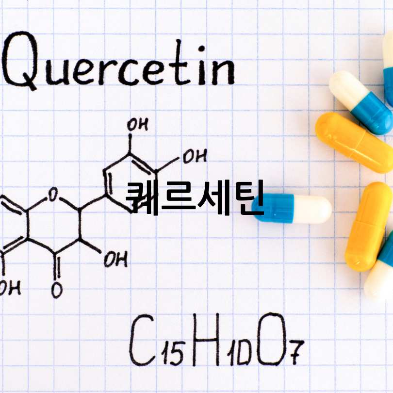 신장에좋은영양제