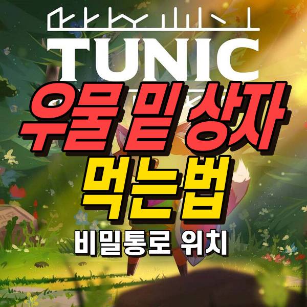 튜닉 우물 밑 상자 먹는법