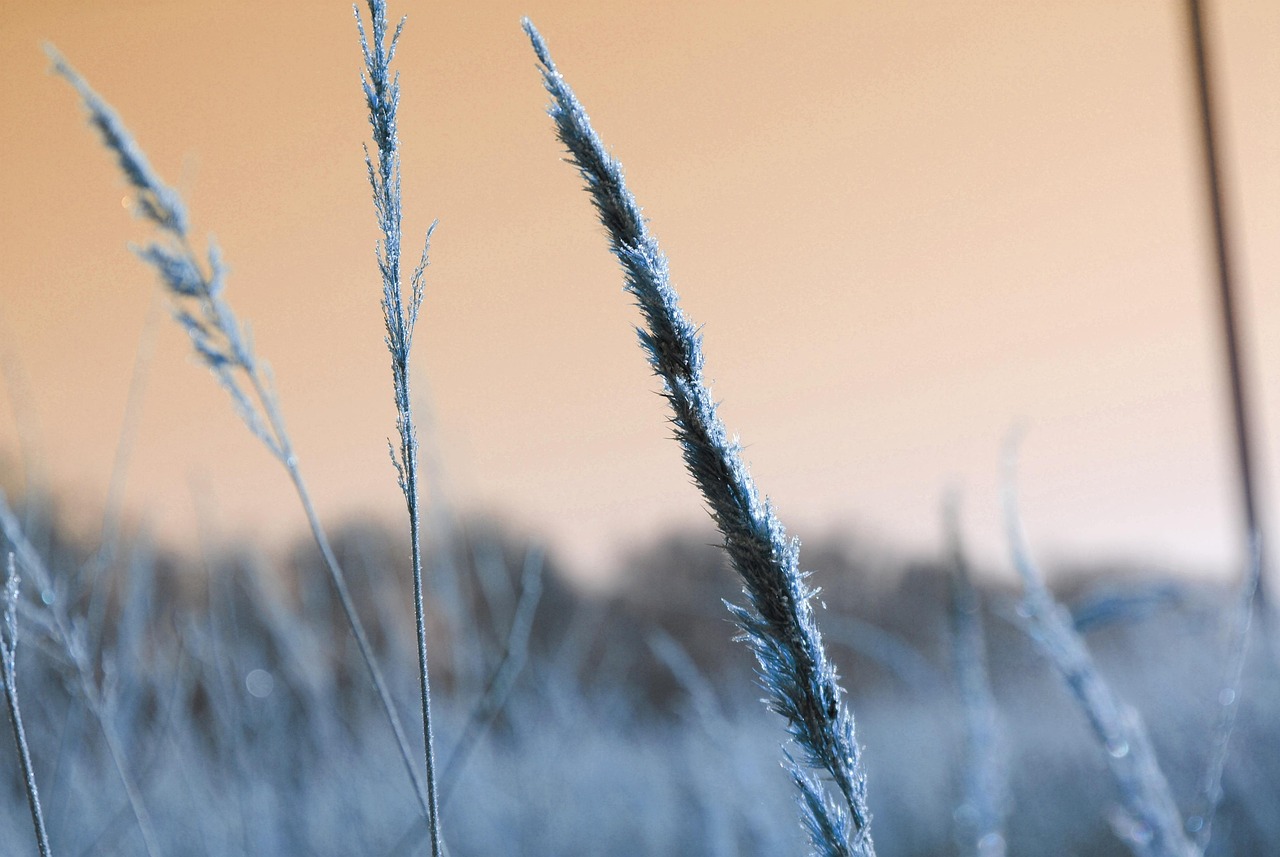 비염에 좋은 영양제