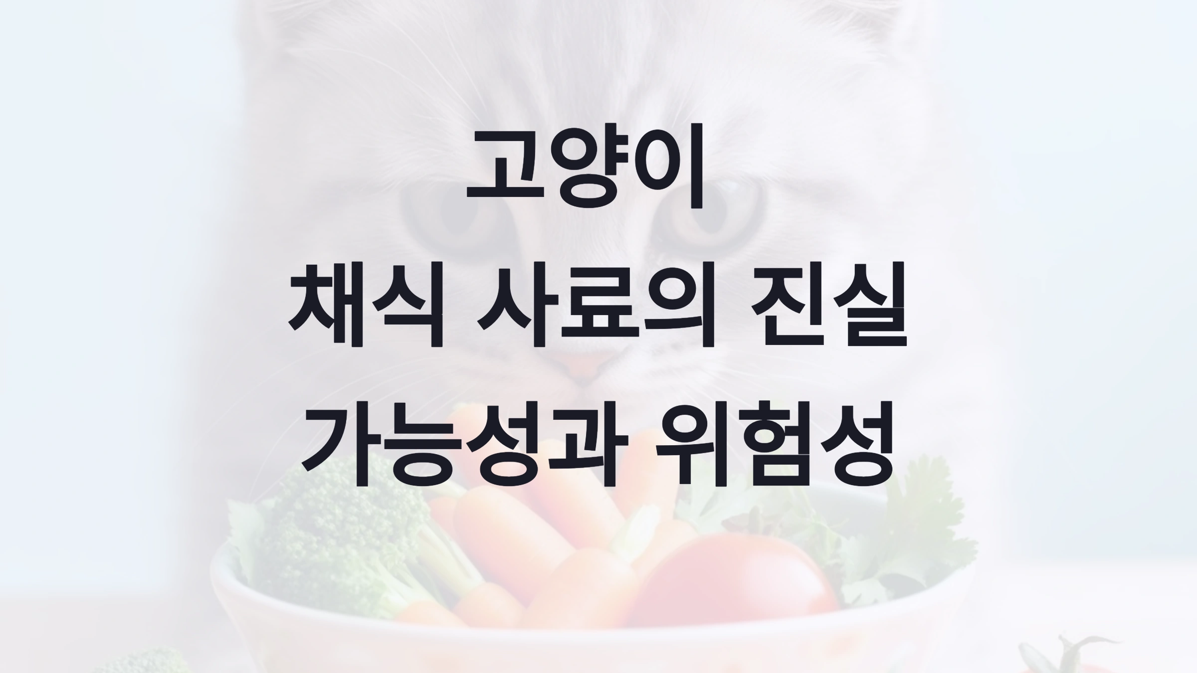 🐱 고양이 채식 사료, 정말 가능할까?