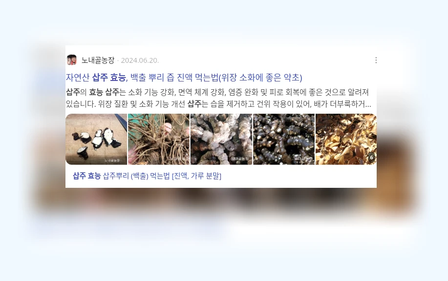 삽주 효능_3_subsection