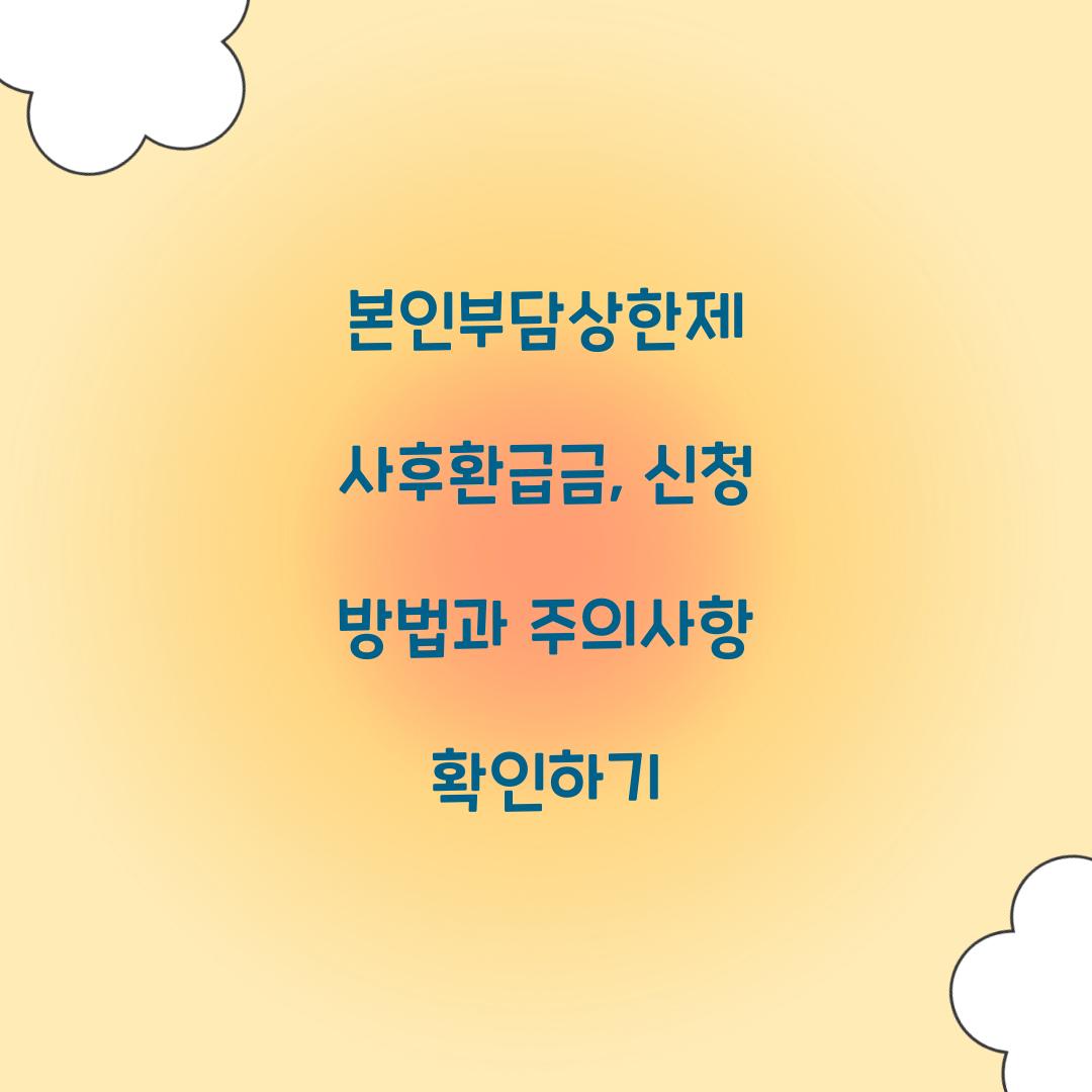 본인부담상한제 사후환급금