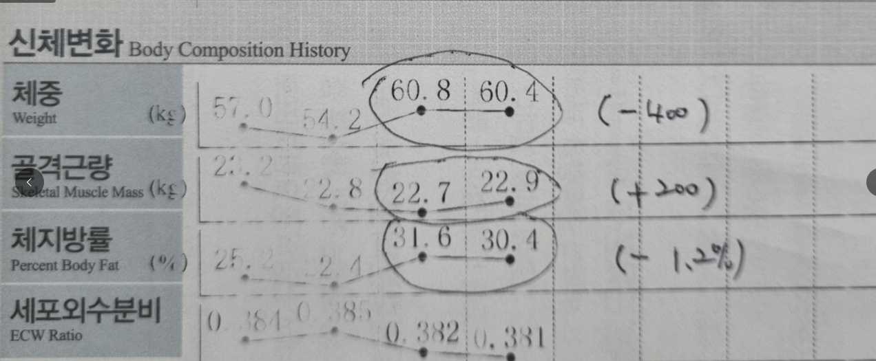 2주차 인바디검사 결과