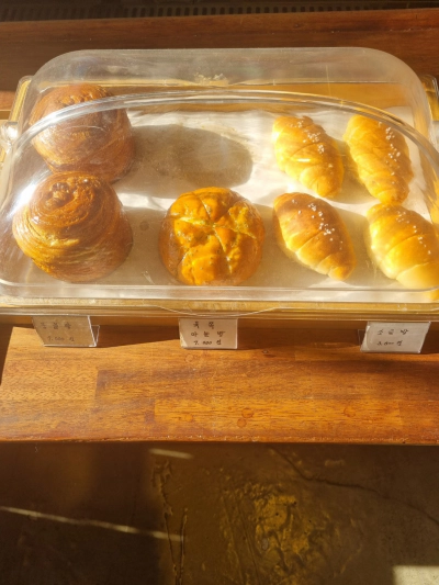 영덕 강구항카페 카페봄 전망 좋은 바다뷰 추천