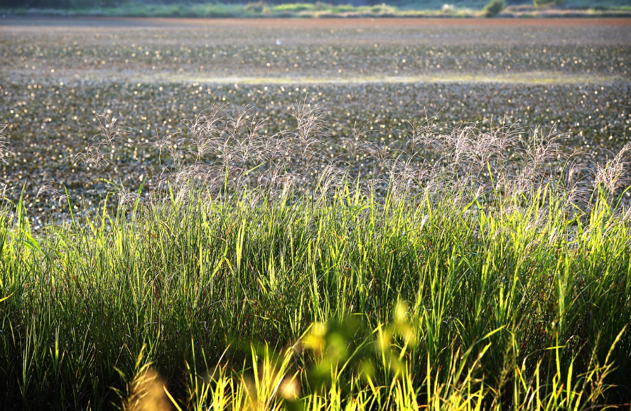 기차 버스 여행 관련 사진