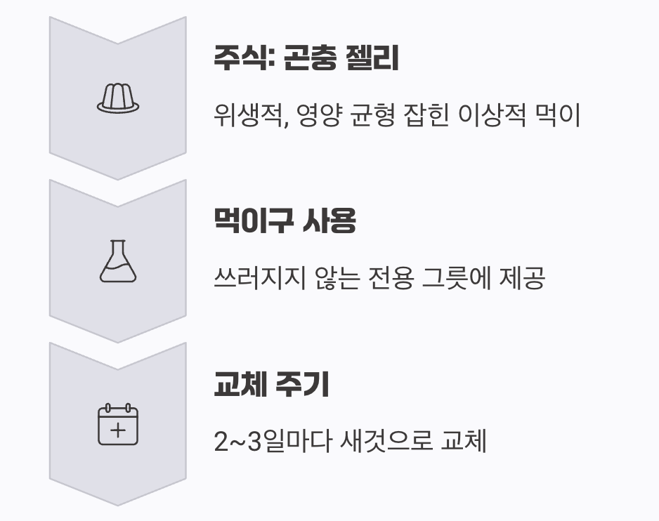 전사의 에너지원, 먹이 공급법