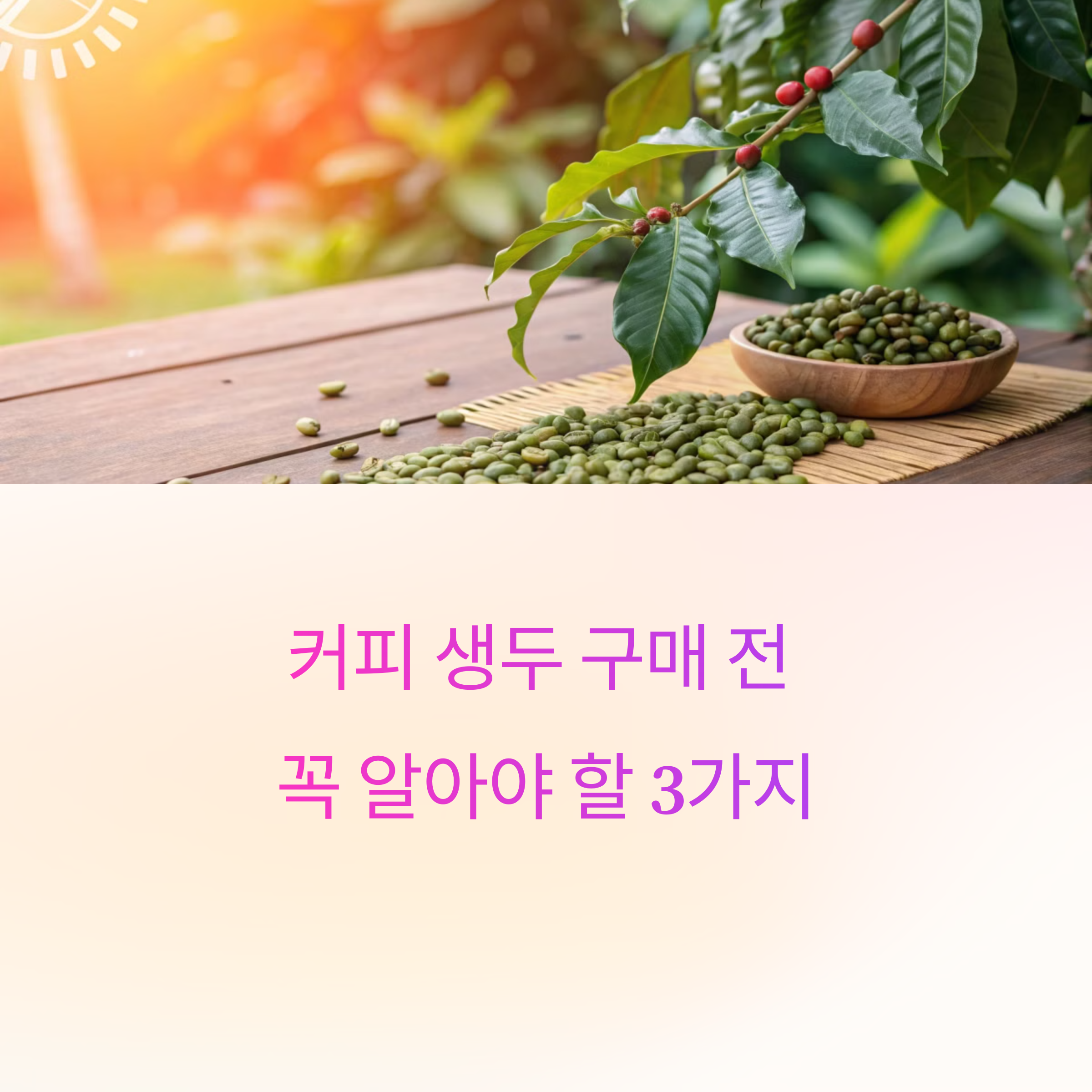 커피 생두 구매 전 꼭 알아야 할 3가지, 이건 모르고 사지 마세요!