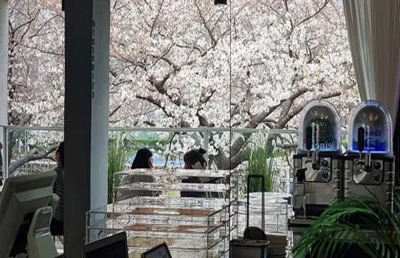 아더와이즈 커피바 온천천카페거리