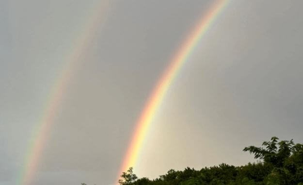 윤승아 김무열 부부 반려견 무지개다리