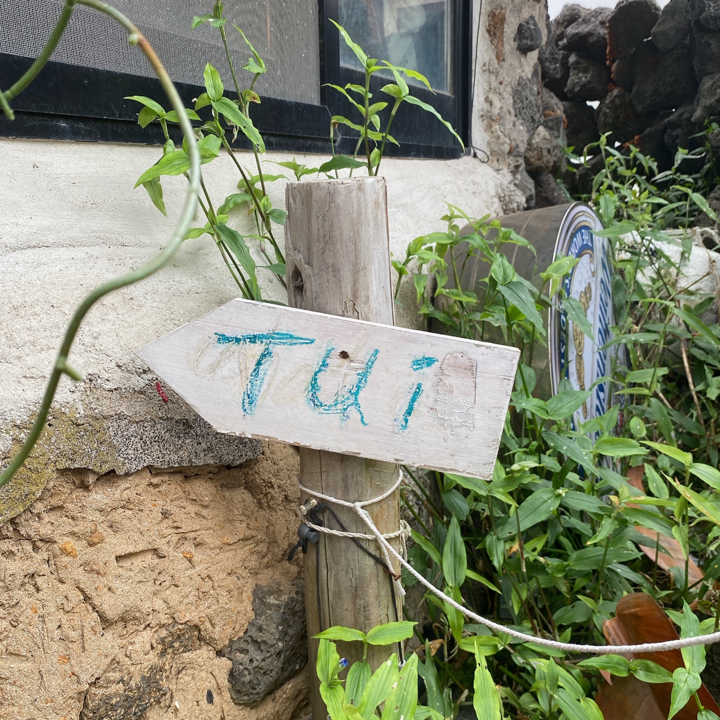 제주 한림 협재포구 협재해수욕장 카페 뚜이 cafe tui 주차 추천 리뷰 플랫화이트 뉴질랜드 고려대 카페