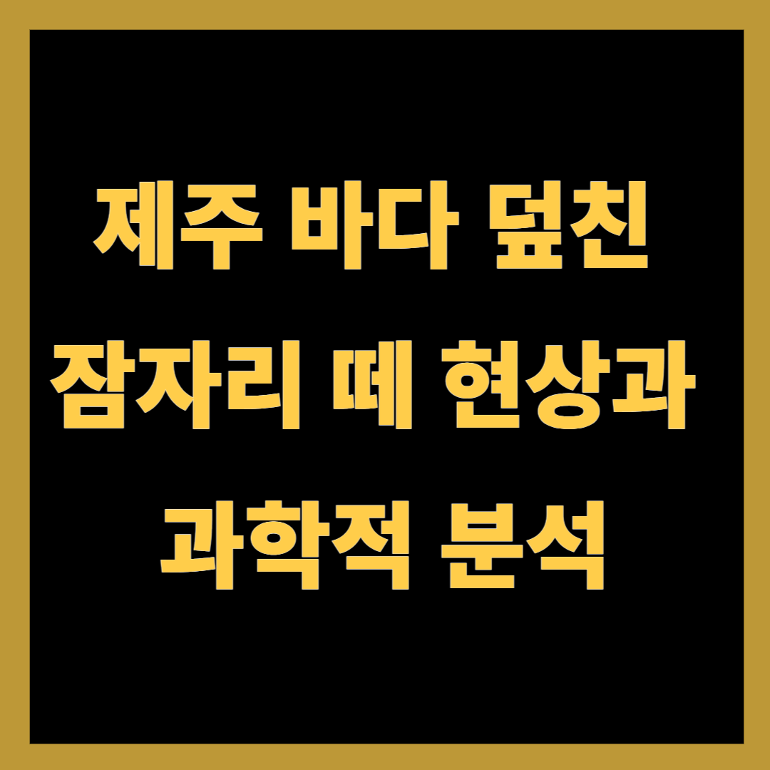 제주 바다 덮친 잠자리 떼 현상과 과학적 분석